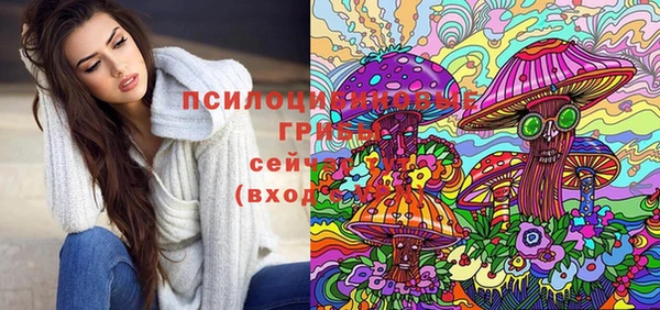 прущие грибы Богородицк