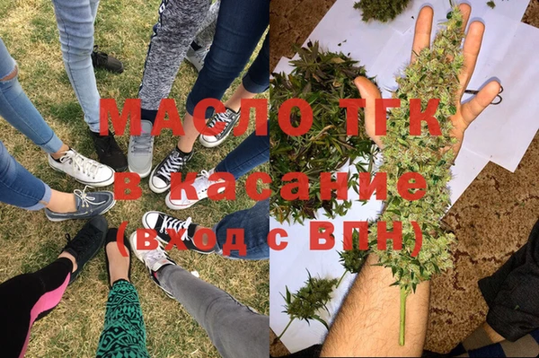 гашик Семилуки