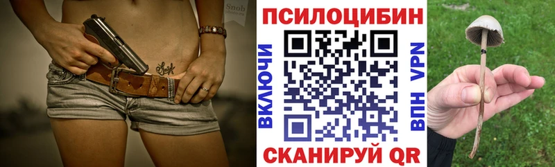 Псилоцибиновые грибы GOLDEN TEACHER  Кинель 
