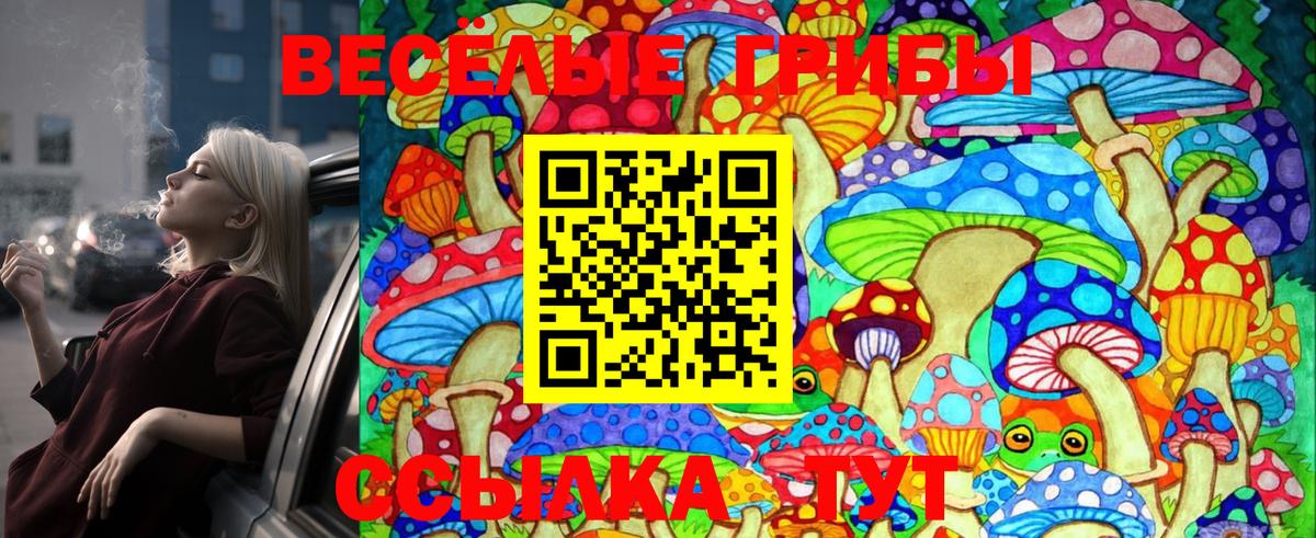 Галлюциногенные грибы мицелий Кинель