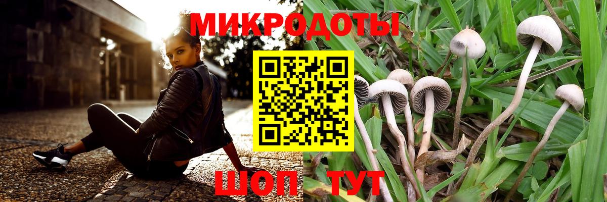 Кинель  Галлюциногенные грибы MAGIC MUSHROOMS  Вход с VPN 